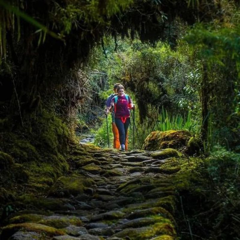 Sobre el Camino Inca desde Puerto Rico