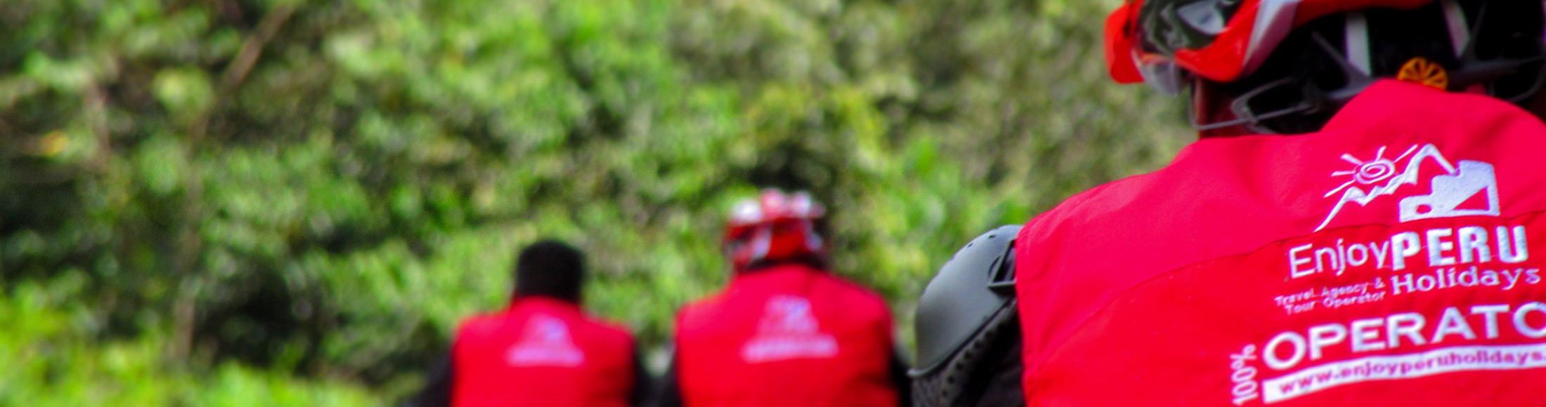 Sobre Nosotros desde Puerto Rico