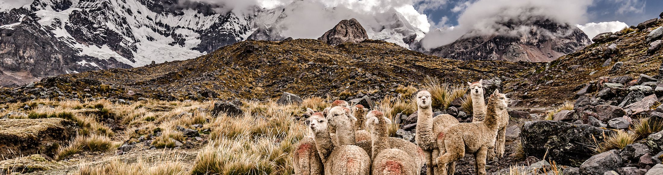 Machu Picchu 8D7N Viajero (Full Aventura Tendencia) desde Puerto Rico