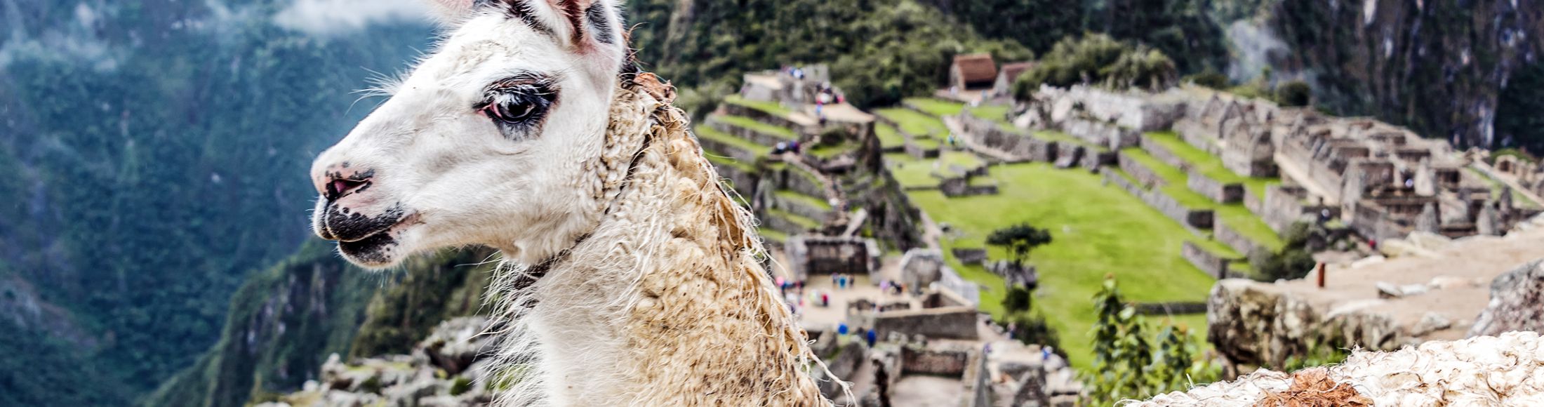 Machu Picchu 8D7N Viajero (Full Cultural) desde Puerto Rico