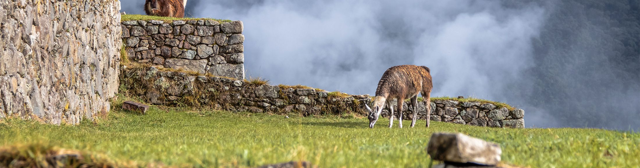 Machu Picchu 4D3N Viajero (Cultural Aventura) desde Puerto Rico